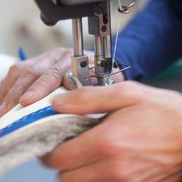 Foto: Anke van den Berg