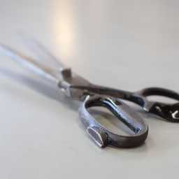 Foto: Anke van den Berg